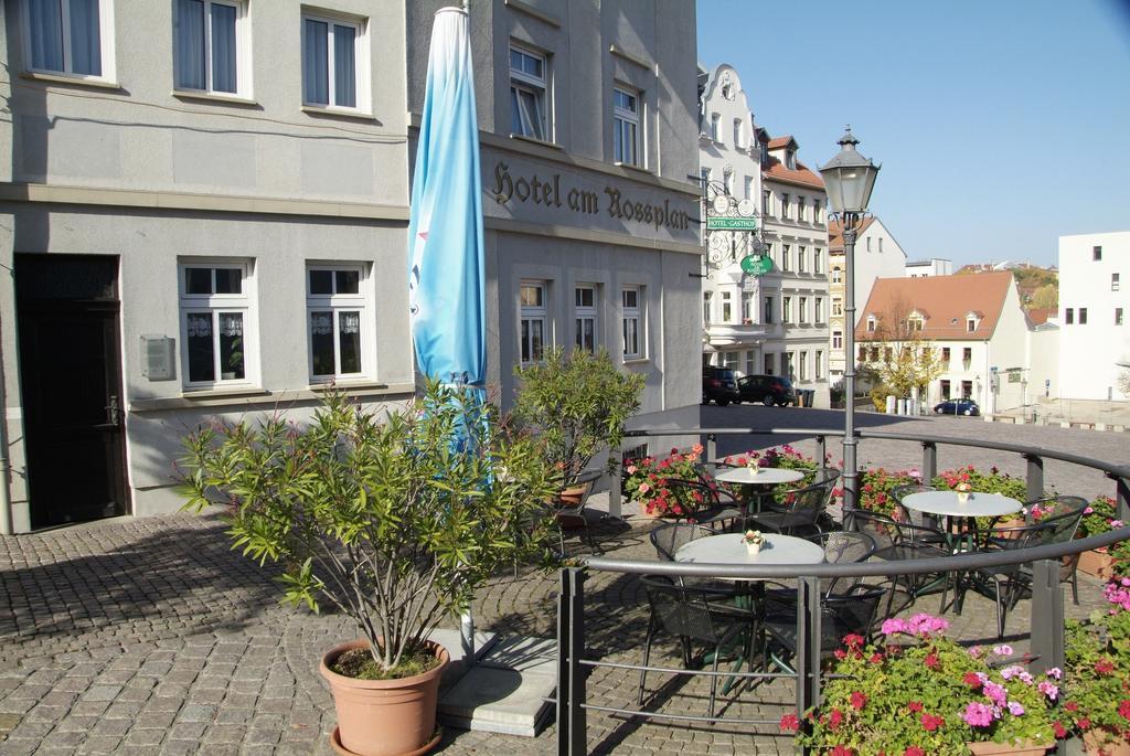 Am Rossplan Hotel Altenburg Ngoại thất bức ảnh